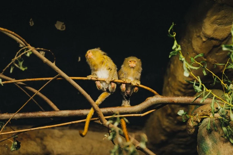 Rigas Nationaler Zoologischer Garten